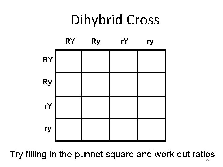 Dihybrid Cross RY Ry r. Y ry Try filling in the punnet square and