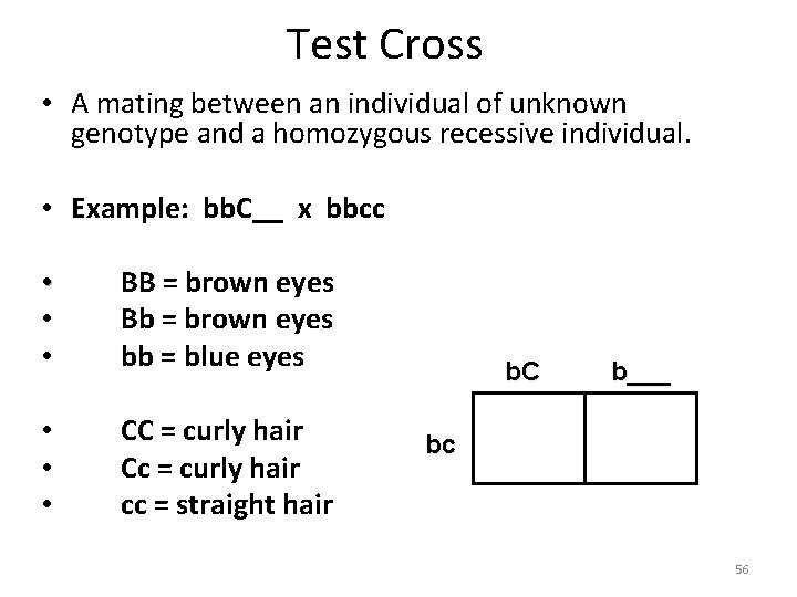 Test Cross • A mating between an individual of unknown genotype and a homozygous