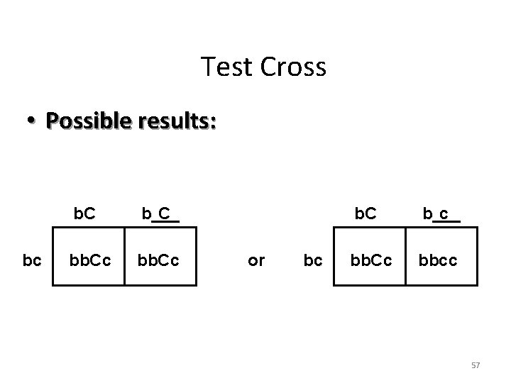 Test Cross • Possible results: bc b. C b___ C bb. Cc or bc