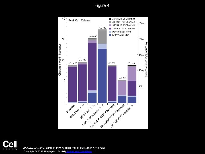 Figure 4 Biophysical Journal 2018 114462 -473 DOI: (10. 1016/j. bpj. 2017. 11. 3775)