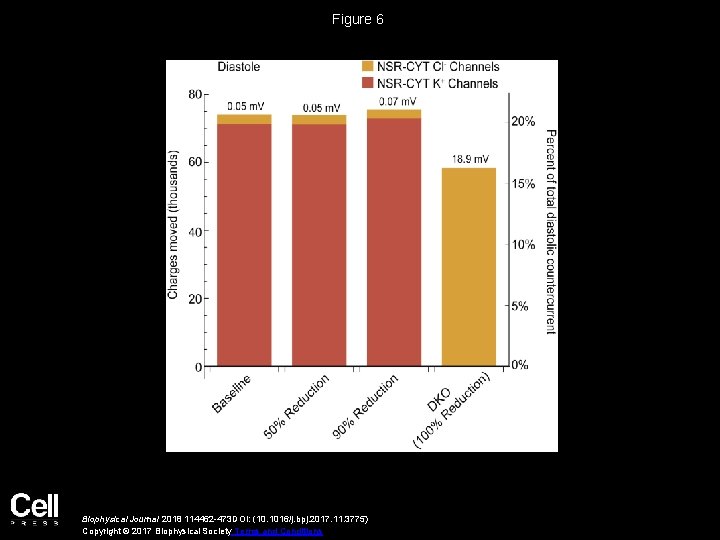 Figure 6 Biophysical Journal 2018 114462 -473 DOI: (10. 1016/j. bpj. 2017. 11. 3775)