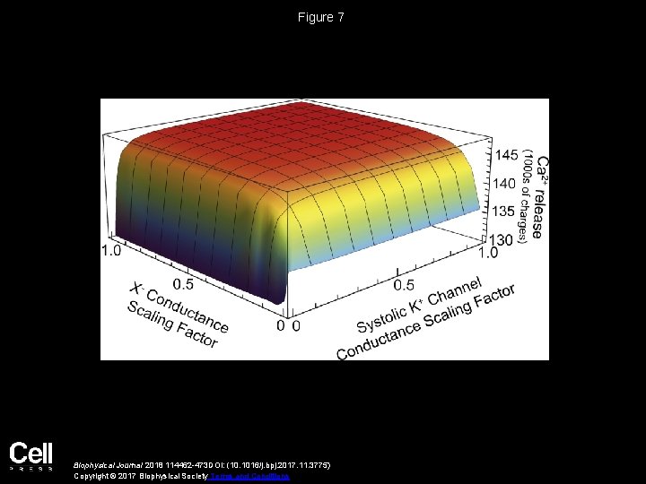 Figure 7 Biophysical Journal 2018 114462 -473 DOI: (10. 1016/j. bpj. 2017. 11. 3775)