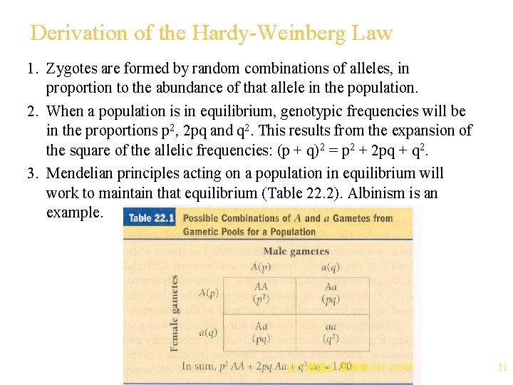 Derivation of the Hardy-Weinberg Law 1. Zygotes are formed by random combinations of alleles,