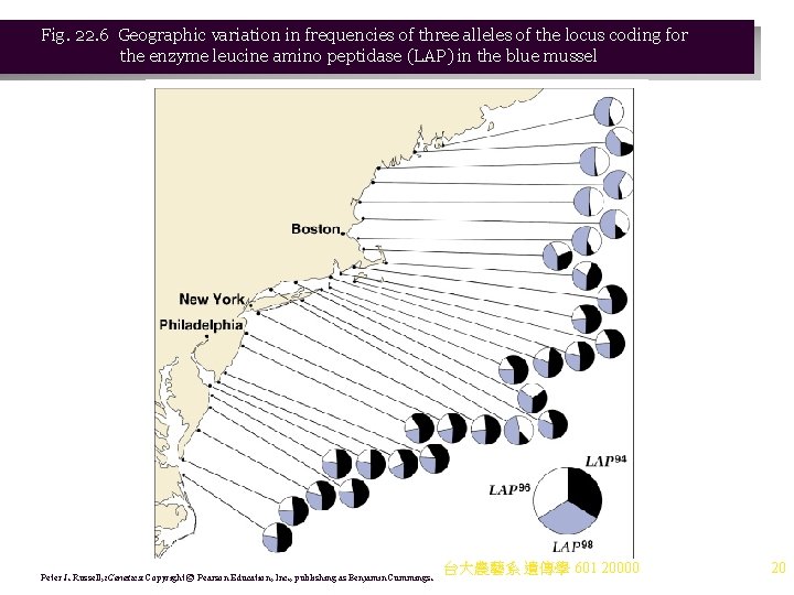 Fig. 22. 6 Geographic variation in frequencies of three alleles of the locus coding