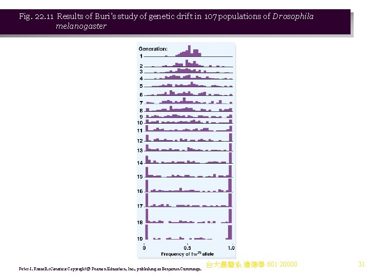 Fig. 22. 11 Results of Buri’s study of genetic drift in 107 populations of