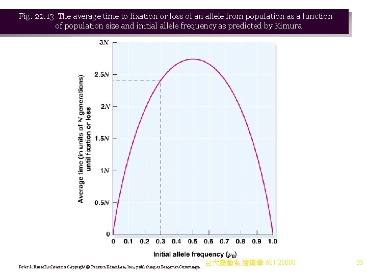 Fig. 22. 13 The average time to fixation or loss of an allele from