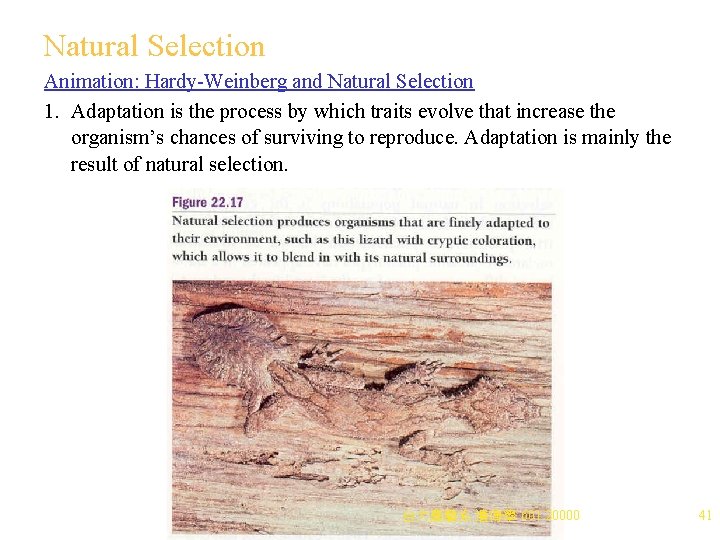 Natural Selection Animation: Hardy-Weinberg and Natural Selection 1. Adaptation is the process by which