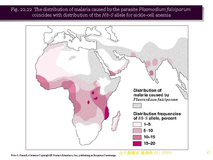 Fig. 22 The distribution of malaria caused by the parasite Plasmodium falciparum coincides with