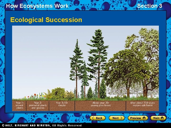 How Ecosystems Work Ecological Succession Section 3 