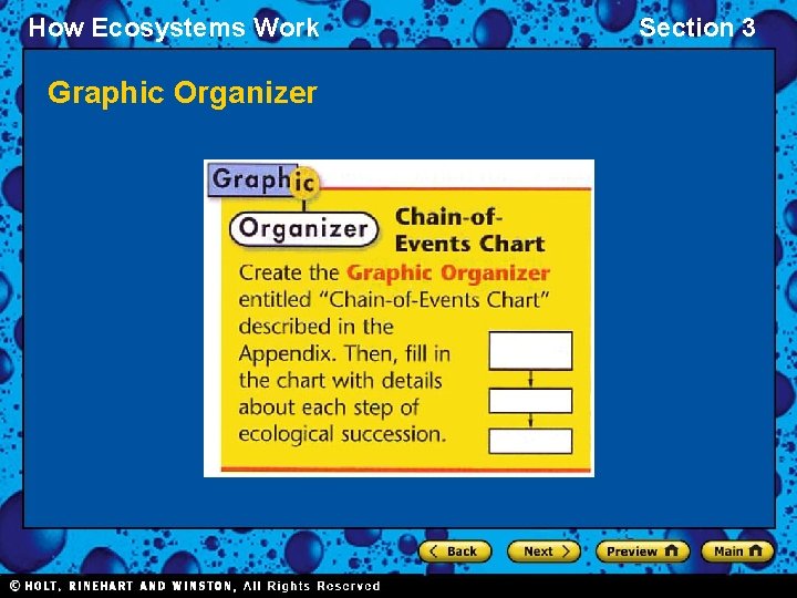 How Ecosystems Work Graphic Organizer Section 3 