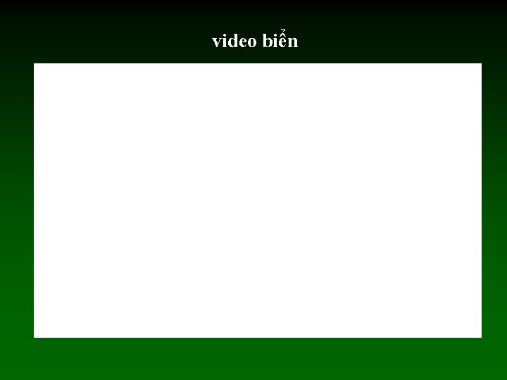 video biển 