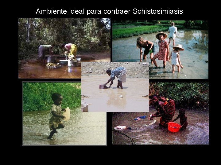 Ambiente ideal para contraer Schistosimiasis 