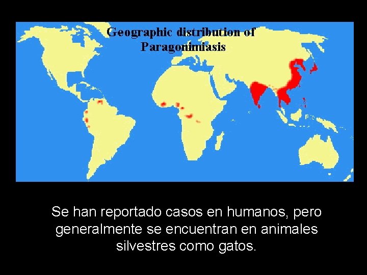 Se han reportado casos en humanos, pero generalmente se encuentran en animales silvestres como