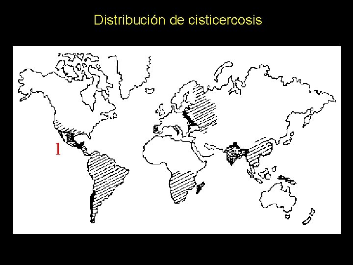Distribución de cisticercosis 1 