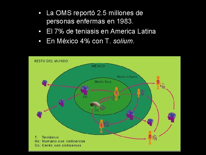  • La OMS reportó 2. 5 millones de personas enfermas en 1983. •