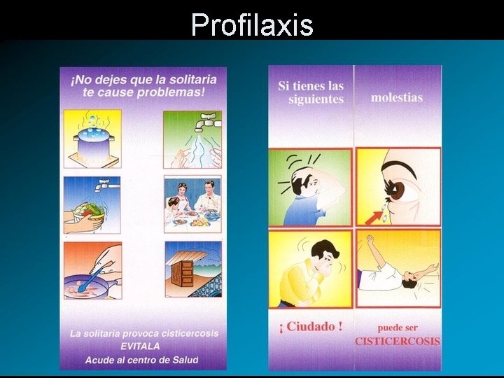 Profilaxis 