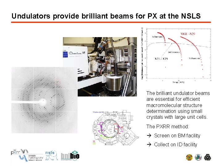 Undulators provide brilliant beams for PX at the NSLS The brilliant undulator beams are