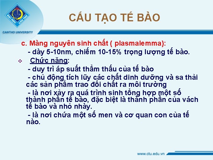 CẤU TẠO TẾ BÀO c. Màng nguyên sinh chất ( plasmalemma): - dày 5