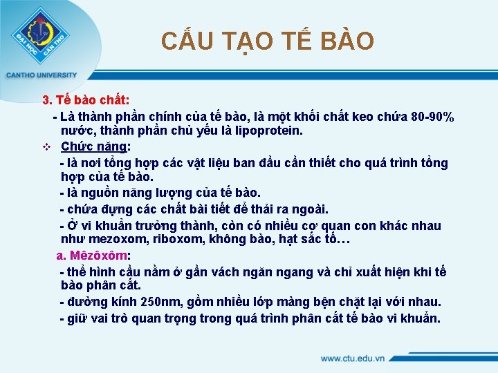 CẤU TẠO TẾ BÀO 3. Tế bào chất: - Là thành phần chính của