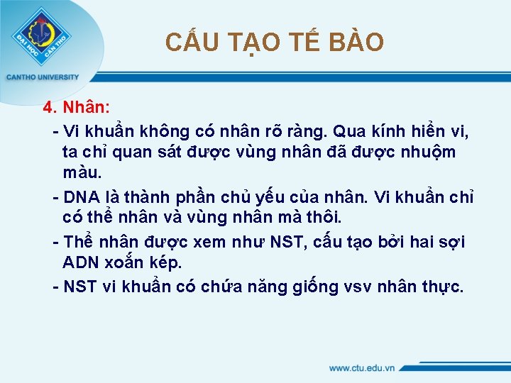 CẤU TẠO TẾ BÀO 4. Nhân: - Vi khuẩn không có nhân rõ ràng.