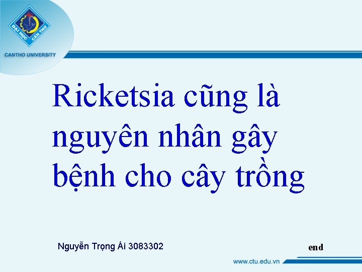Ricketsia cũng là nguyên nhân gây bệnh cho cây trồng Nguyễn Trọng Ái 3083302