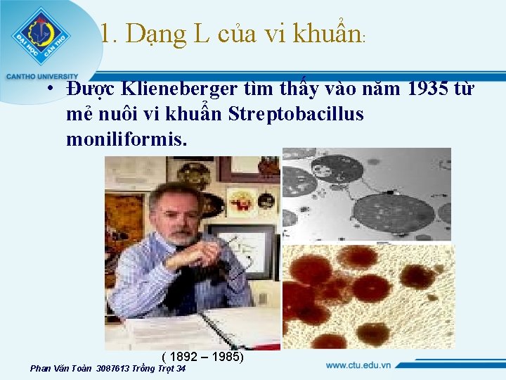 1. Dạng L của vi khuẩn: • Được Klieneberger tìm thấy vào năm 1935