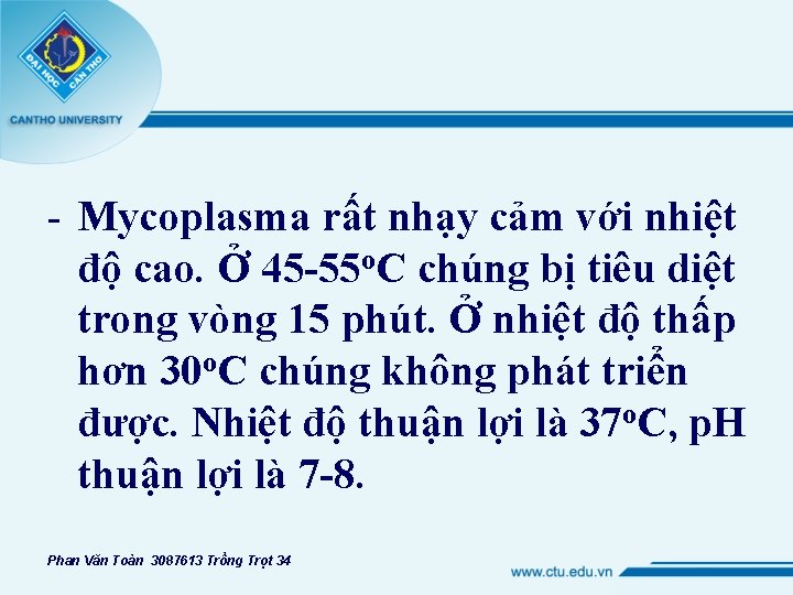 - Mycoplasma rất nhạy cảm với nhiệt độ cao. Ở 45 -55 o. C