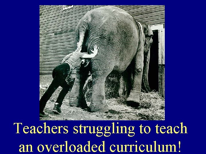 Teachers struggling to teach an overloaded curriculum! 