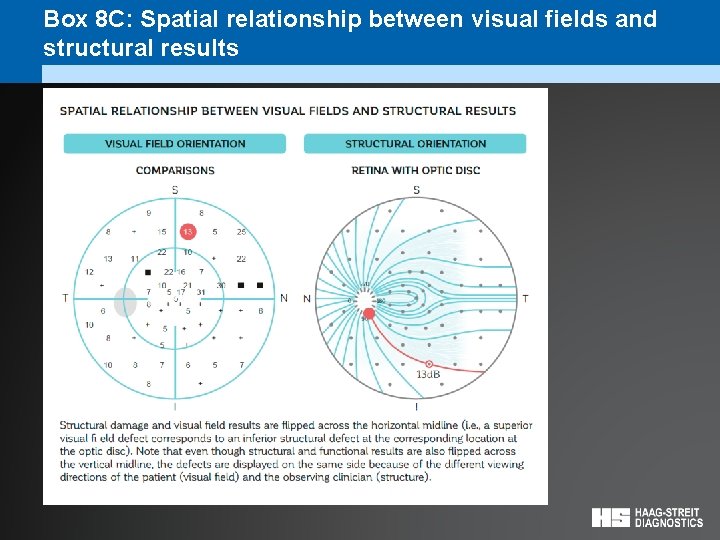 Box 8 C: Spatial relationship between visual fields and structural results 