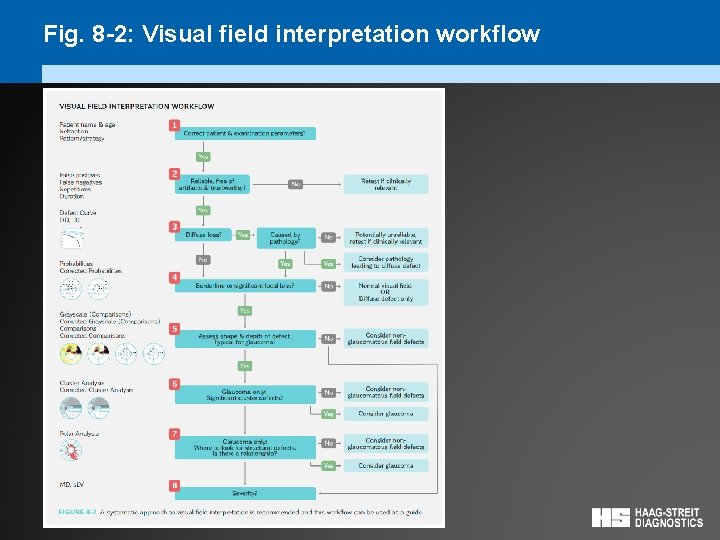 Fig. 8 -2: Visual field interpretation workflow 