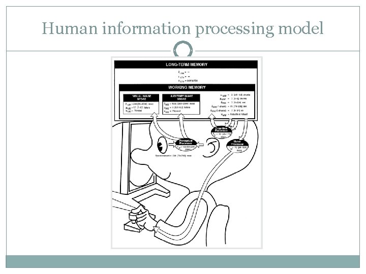 Human information processing model 