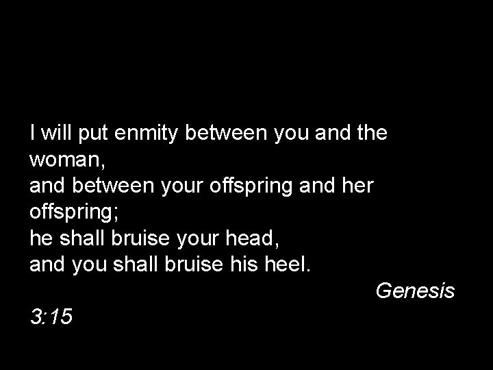 I will put enmity between you and the woman, and between your offspring and