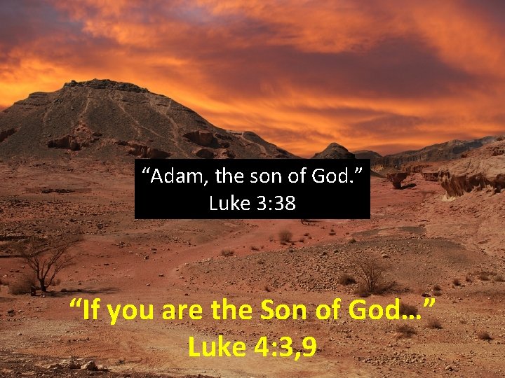 “Adam, the son of God. ” Luke 3: 38 “If you are the Son