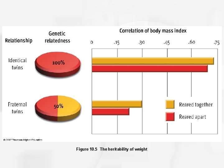 Figure 10. 5 The heritability of weight 