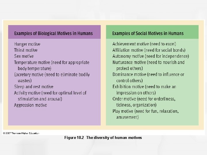 Figure 10. 2 The diversity of human motives 