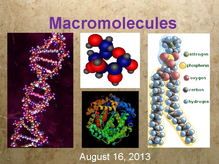 Macromolecules August 16, 2013 