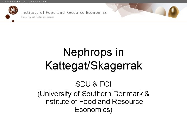 Nephrops in Kattegat/Skagerrak SDU & FOI (University of Southern Denmark & Institute of Food