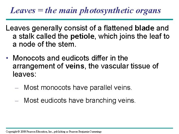 Leaves = the main photosynthetic organs Leaves generally consist of a flattened blade and