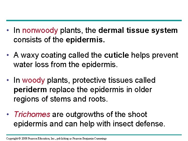  • In nonwoody plants, the dermal tissue system consists of the epidermis. •