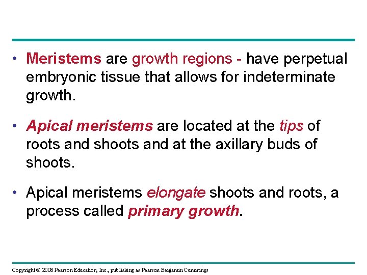  • Meristems are growth regions - have perpetual embryonic tissue that allows for