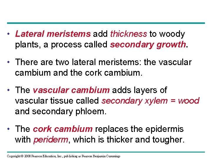  • Lateral meristems add thickness to woody plants, a process called secondary growth.