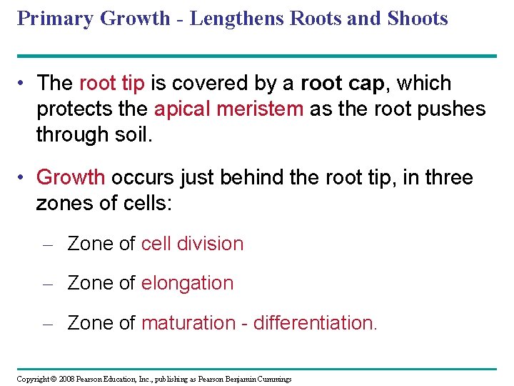 Primary Growth - Lengthens Roots and Shoots • The root tip is covered by