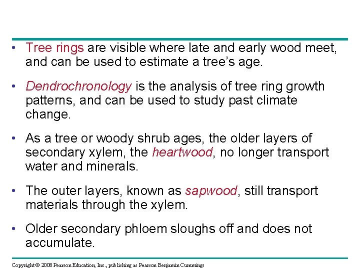  • Tree rings are visible where late and early wood meet, and can
