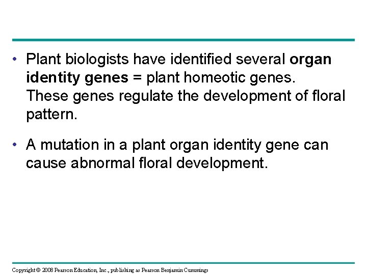  • Plant biologists have identified several organ identity genes = plant homeotic genes.