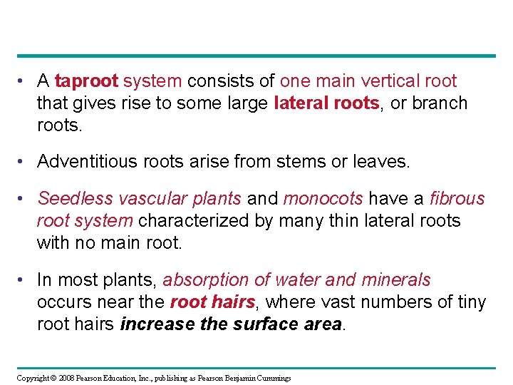  • A taproot system consists of one main vertical root that gives rise