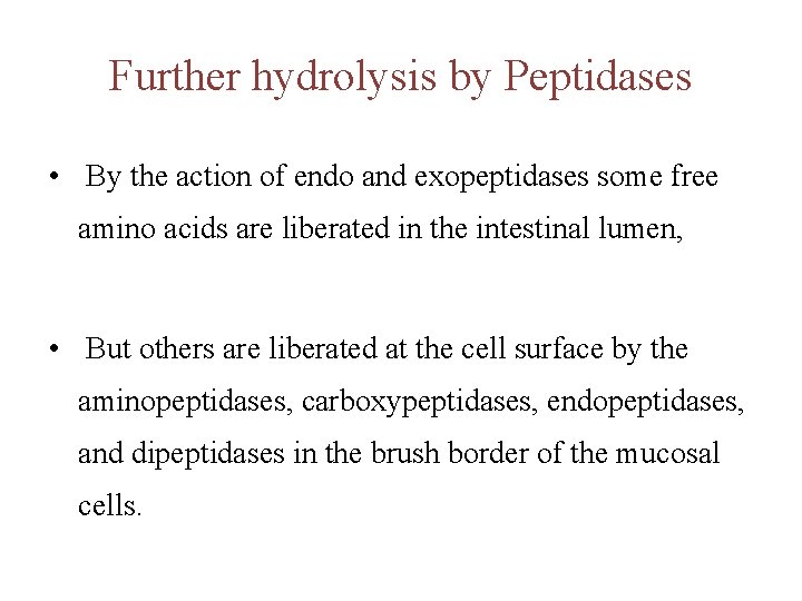 Further hydrolysis by Peptidases • By the action of endo and exopeptidases some free