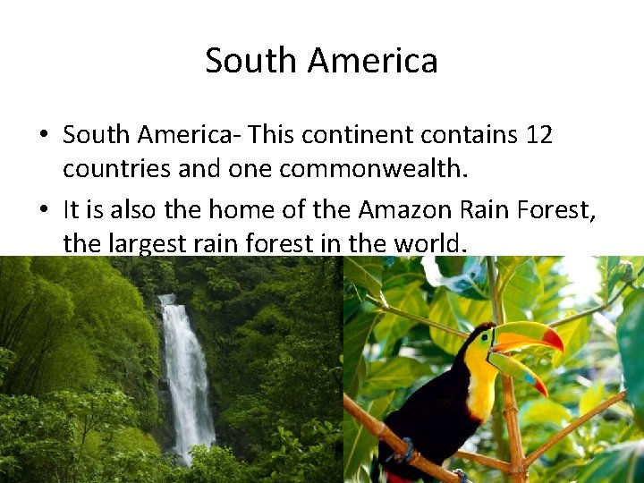 South America • South America- This continent contains 12 countries and one commonwealth. •