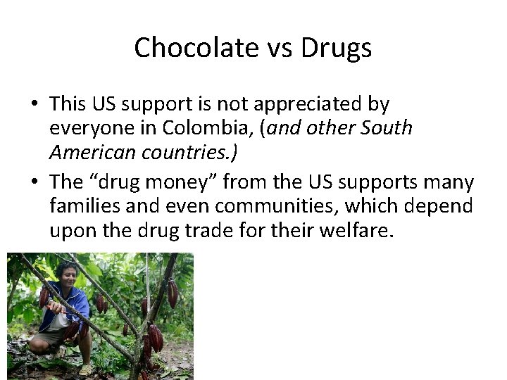 Chocolate vs Drugs • This US support is not appreciated by everyone in Colombia,