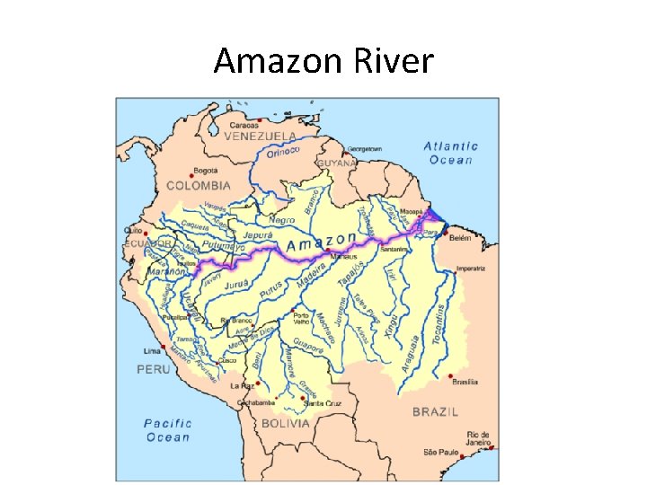 Amazon River 