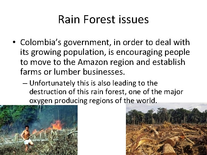 Rain Forest issues • Colombia’s government, in order to deal with its growing population,